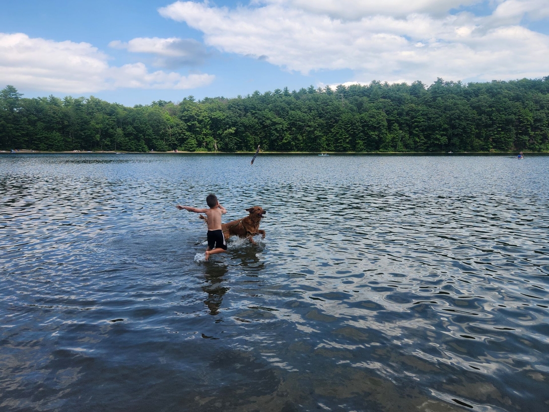 quinn and sunny in the lake
