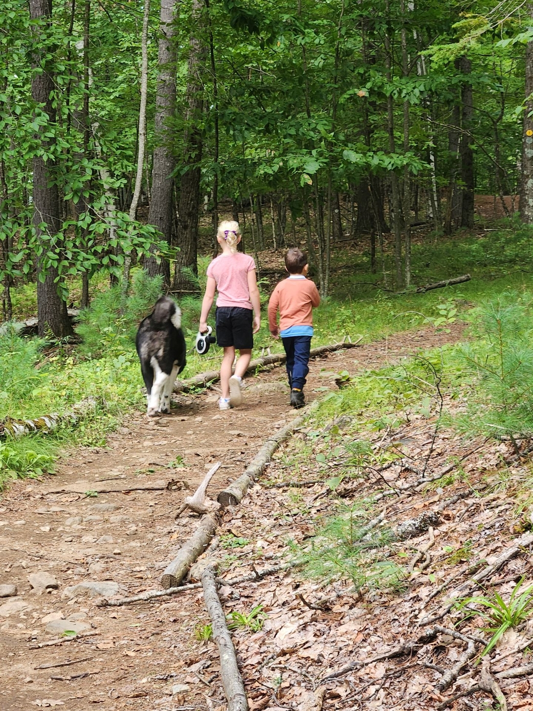 well maintained trail