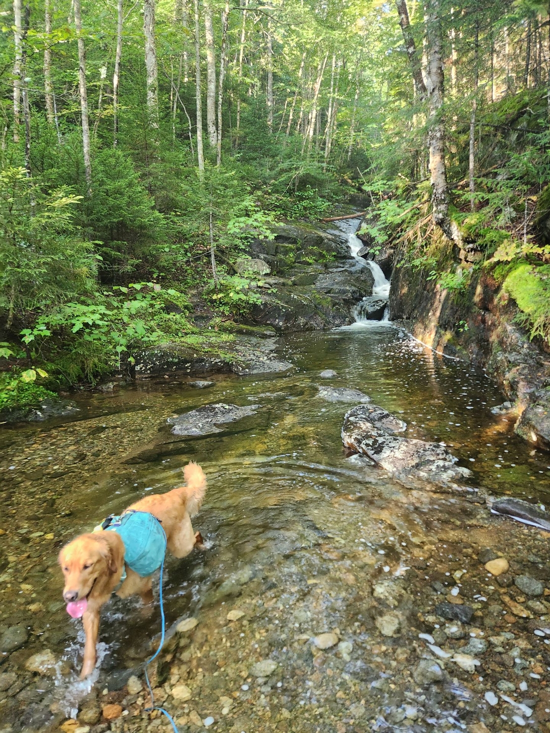 little waterfall