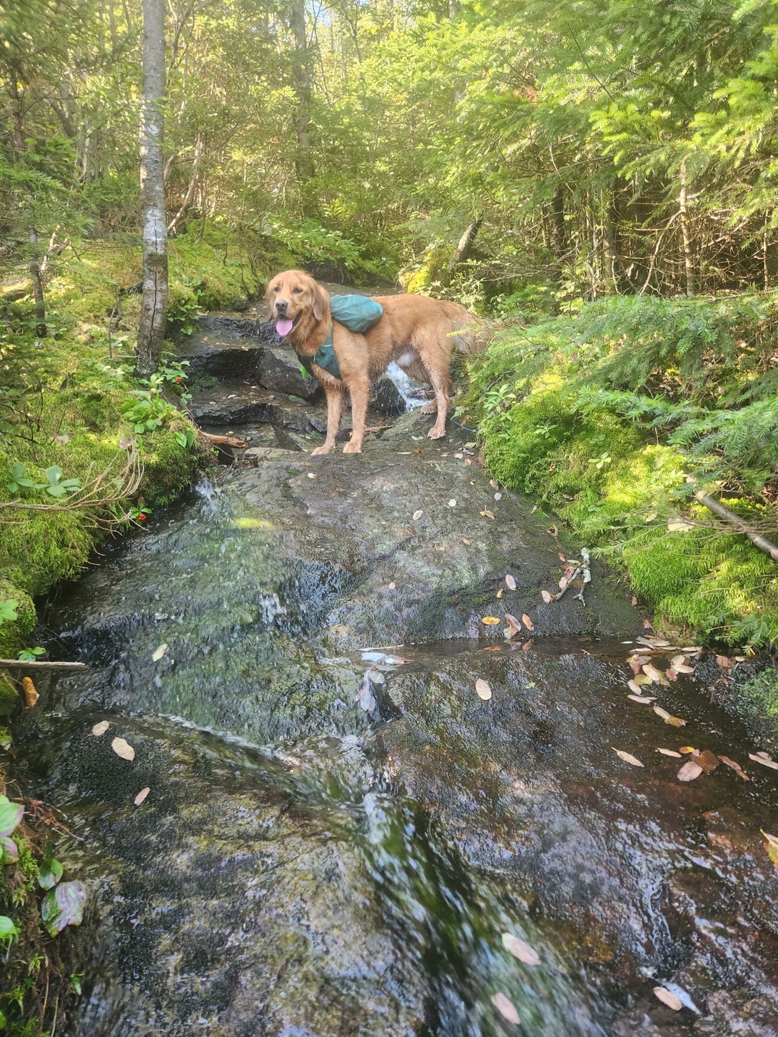 Happy boy!