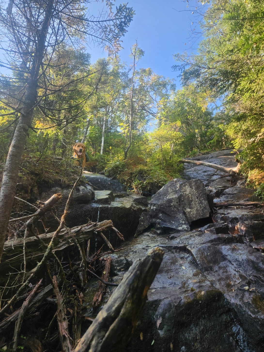 fun spot