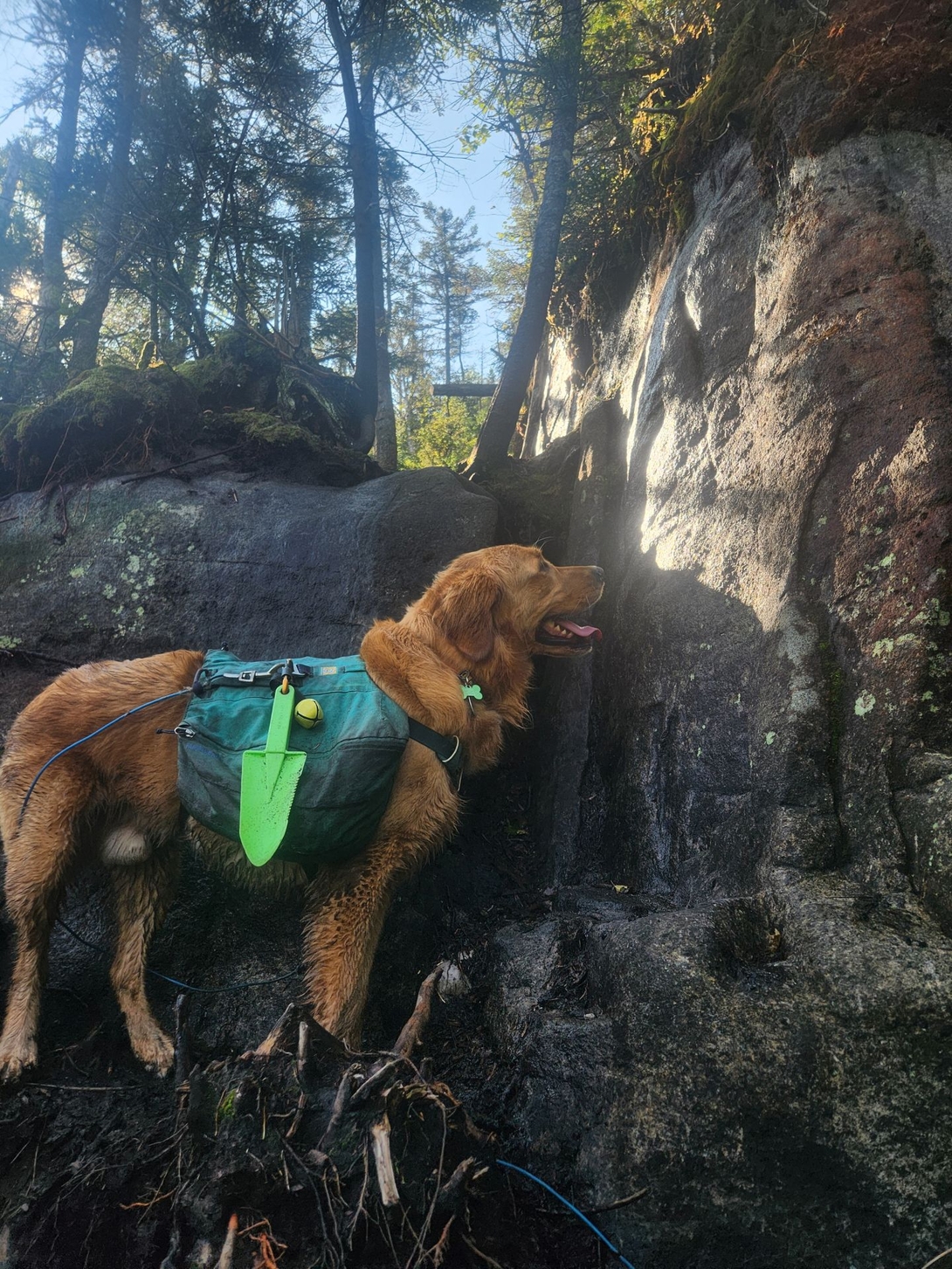 navigating the cliffs