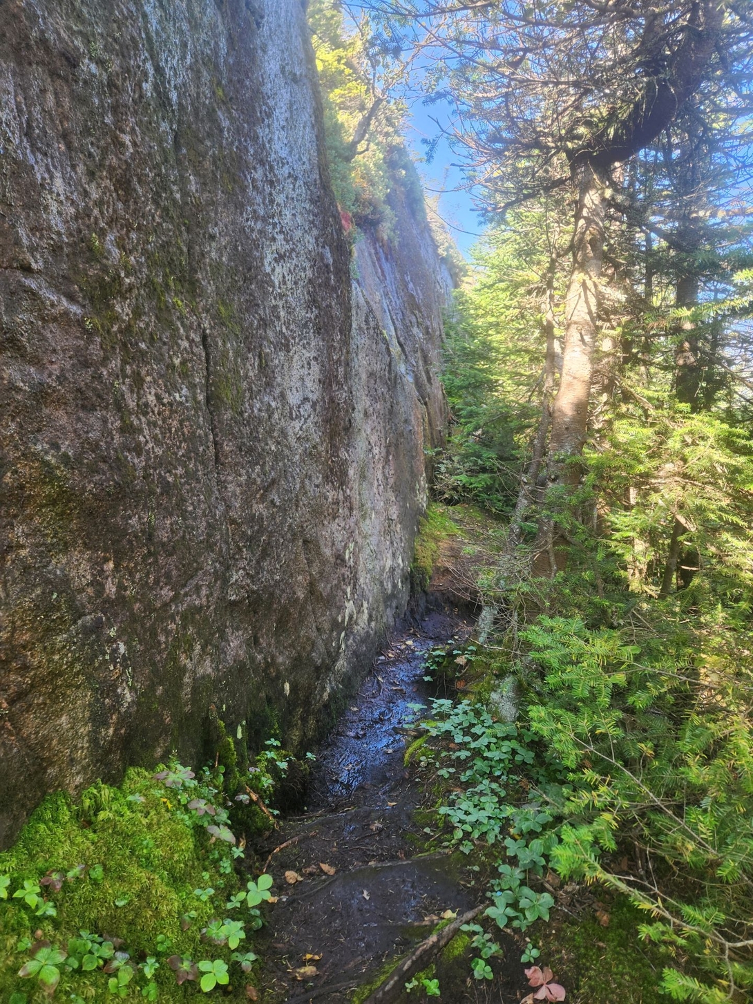 sheer rockface