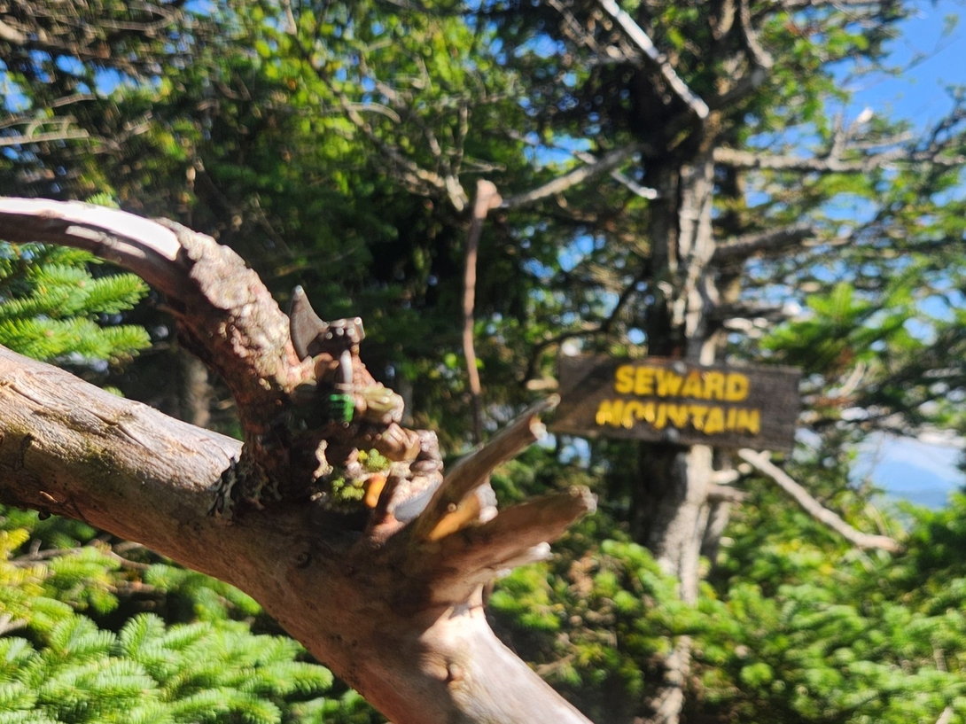 adirondack kommando on seward