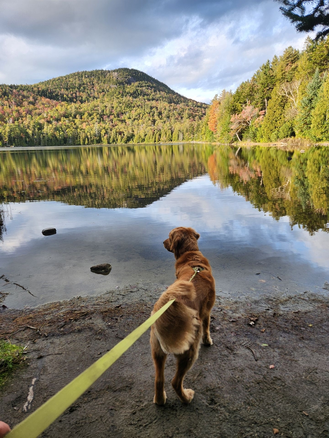 The colors were popping at Heart Lake.