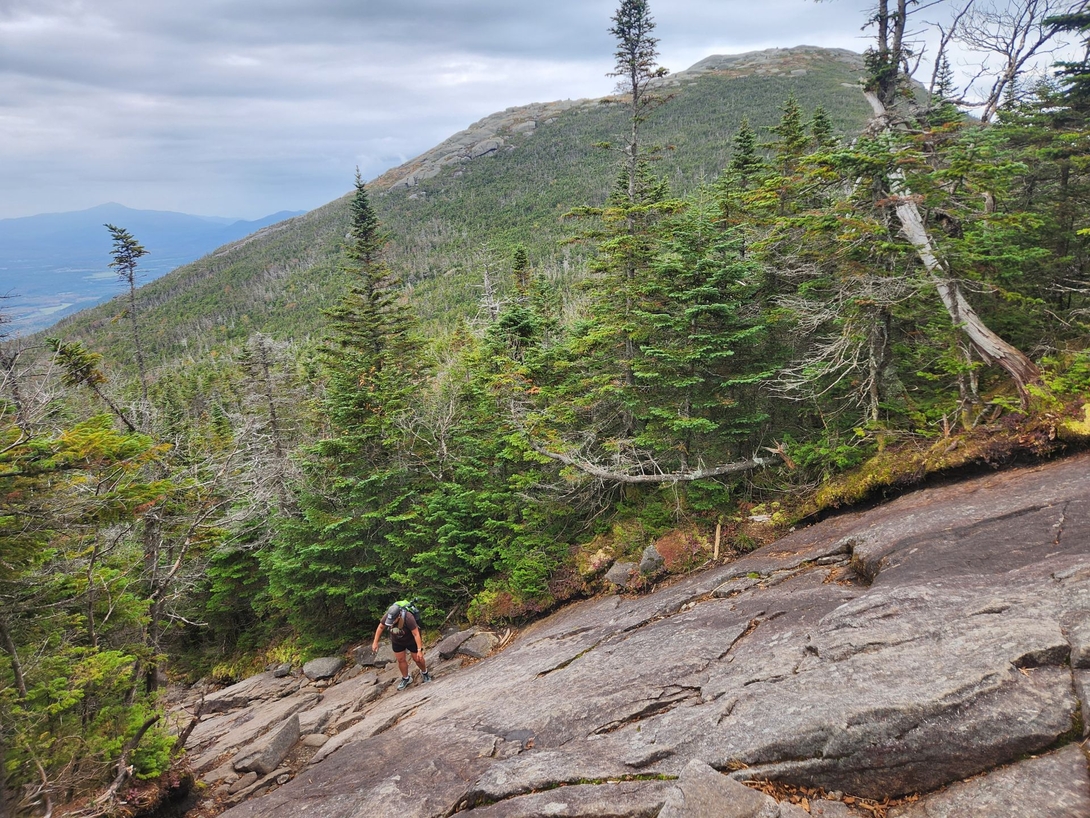algonquin slab long and dry