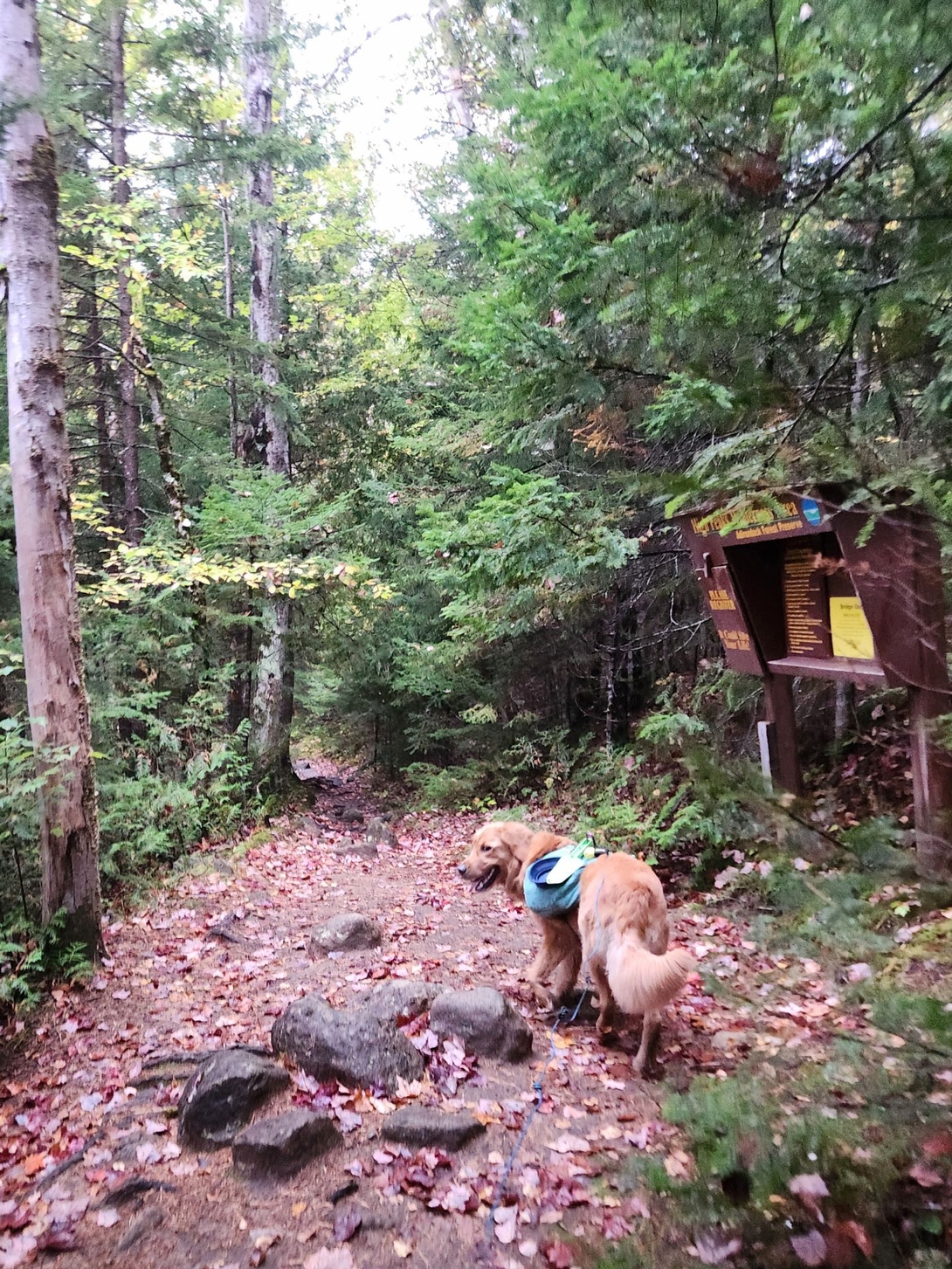 trail register
