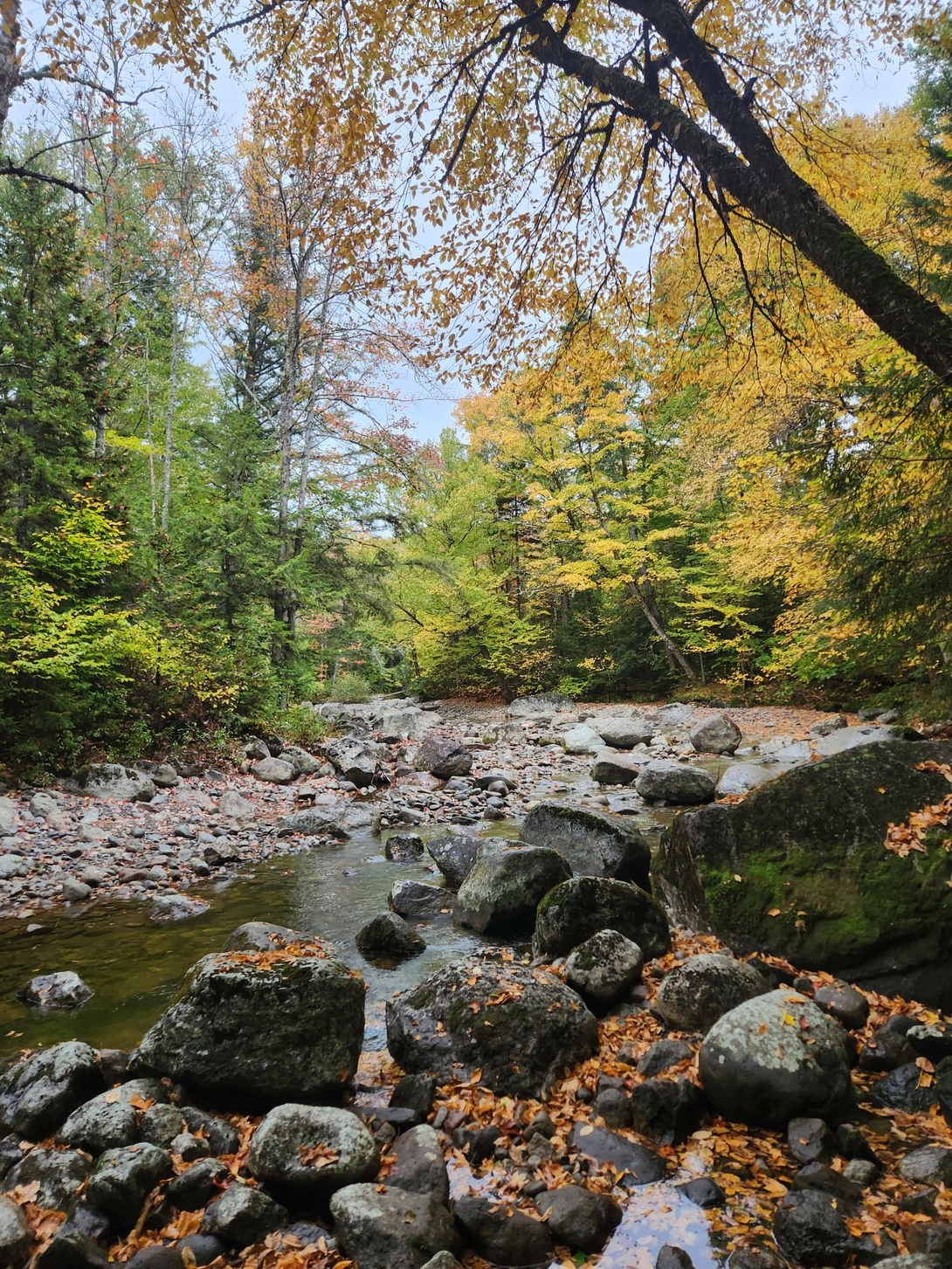 stream crossing