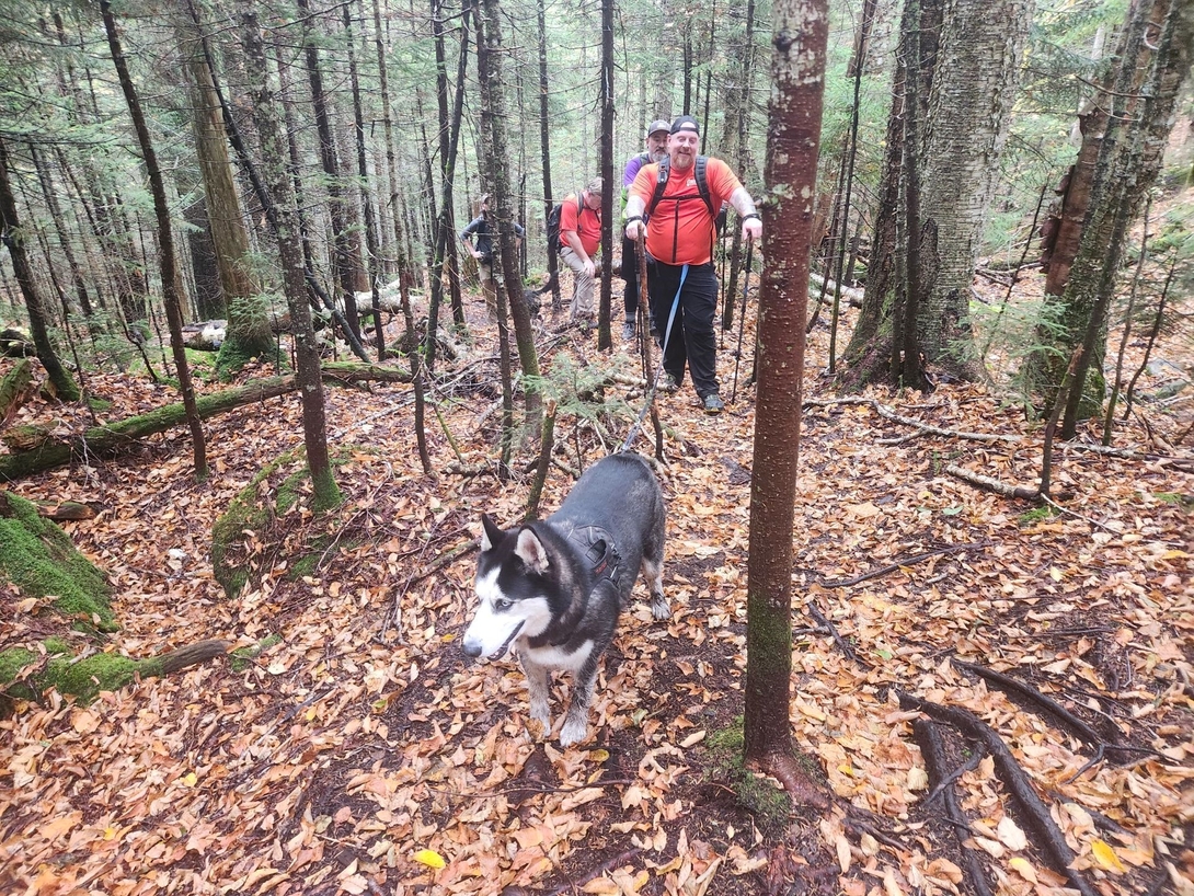 zuko and friends on trail
