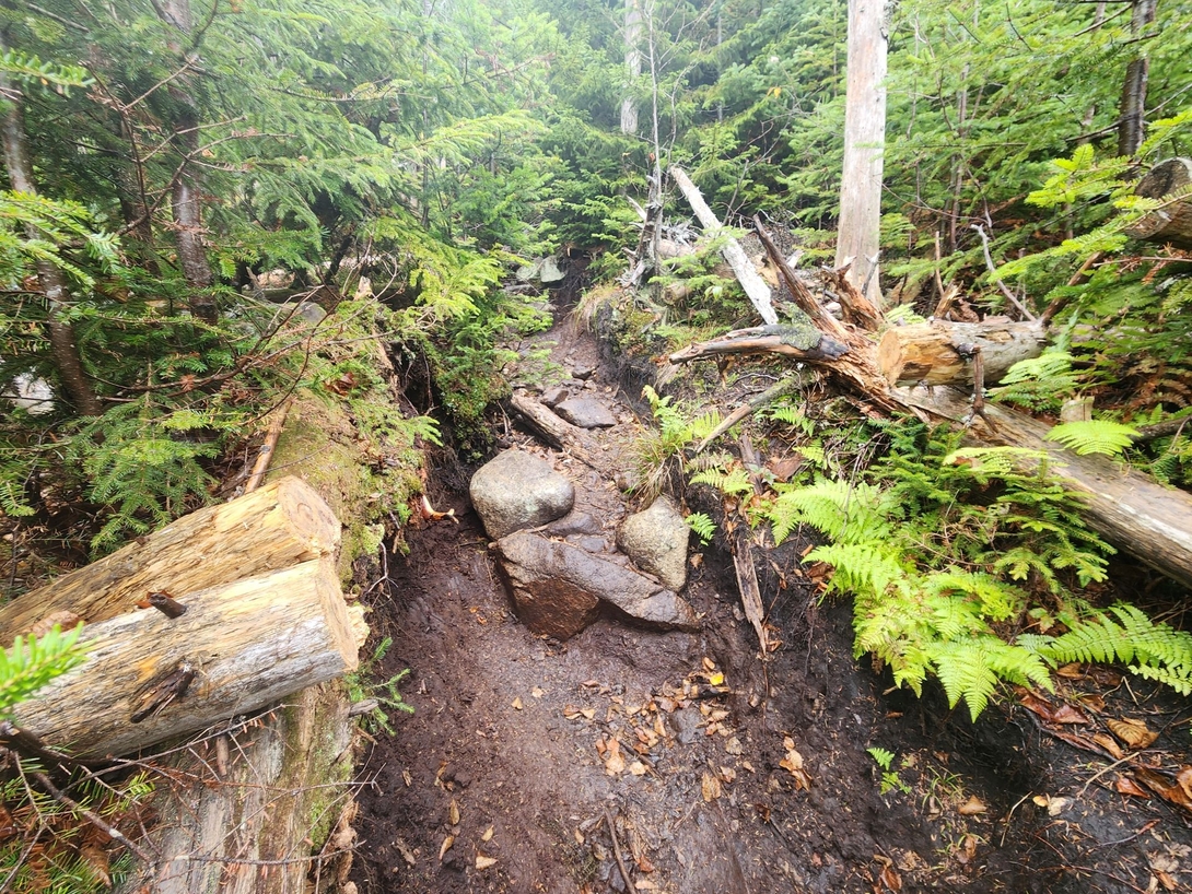 trail maintenance