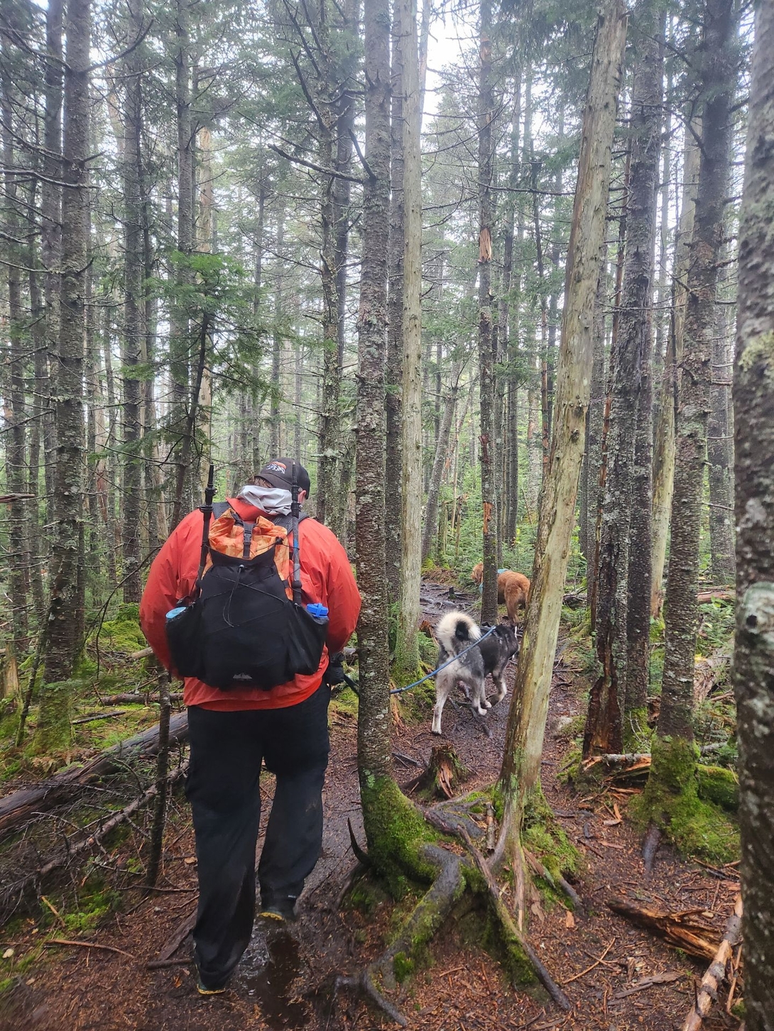 We started the half-mile hike to Street.