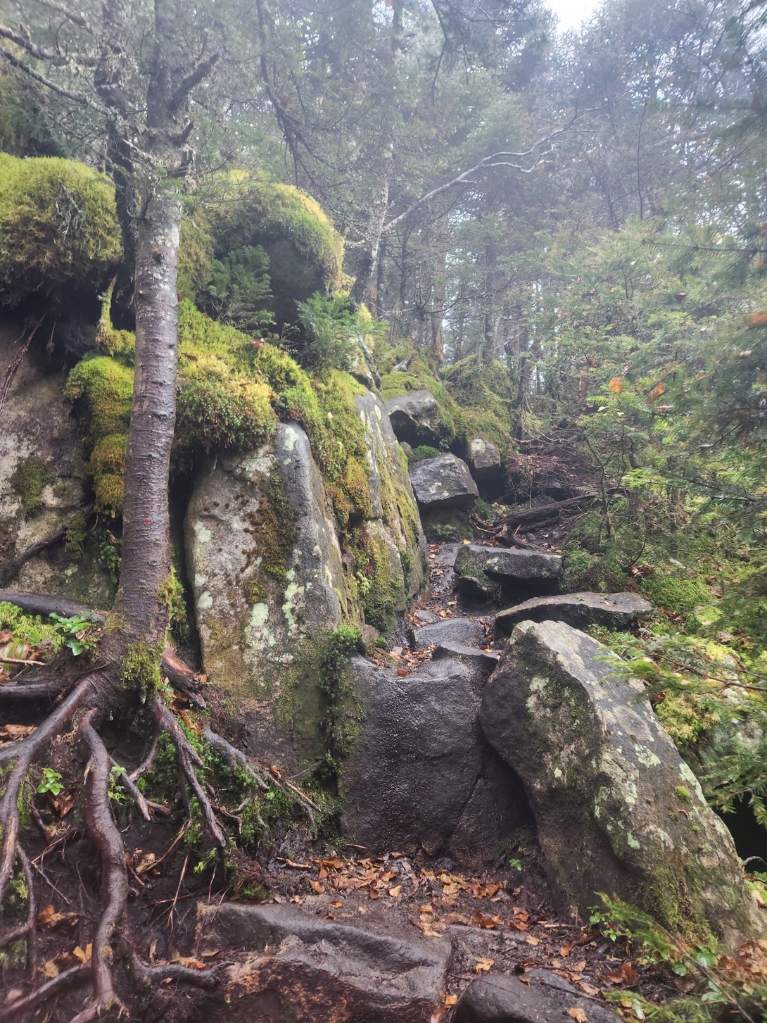 rocks