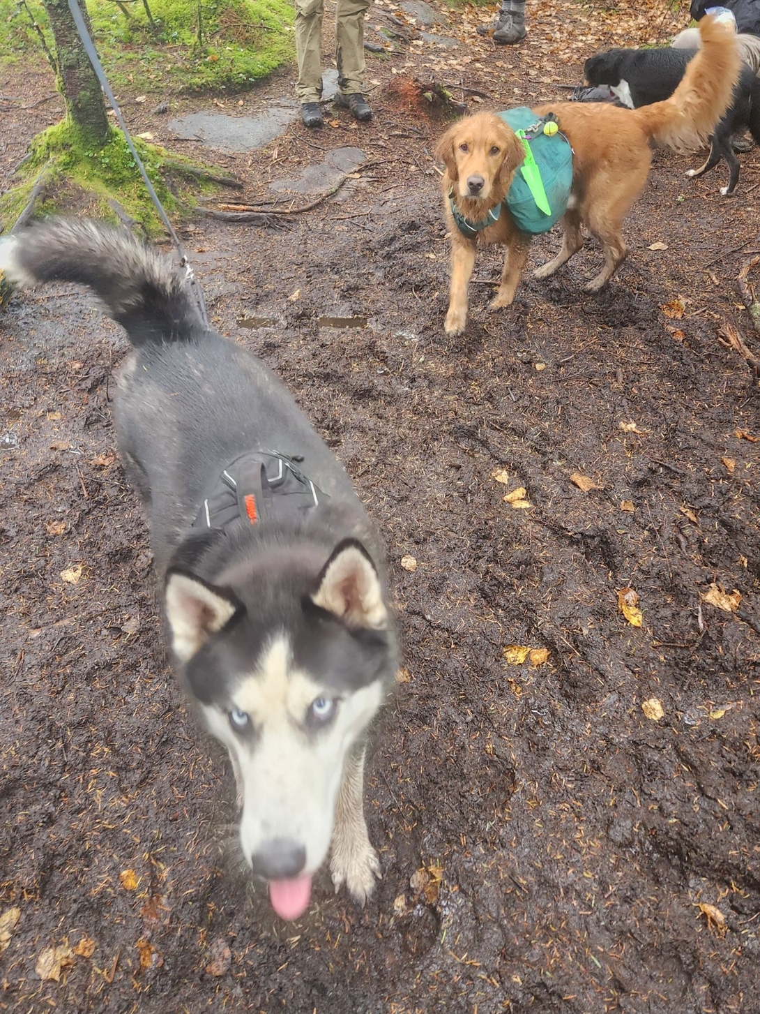 Zuko's 2nd High Peak summit!