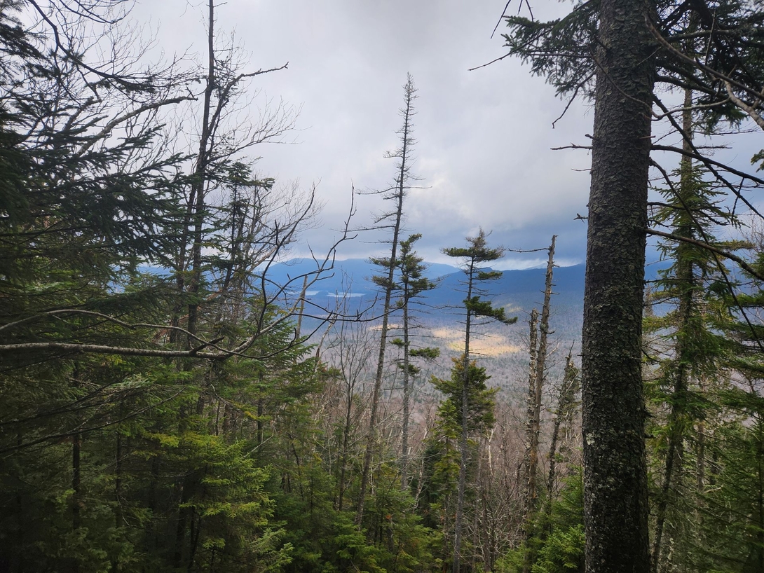 view coming down seymour
