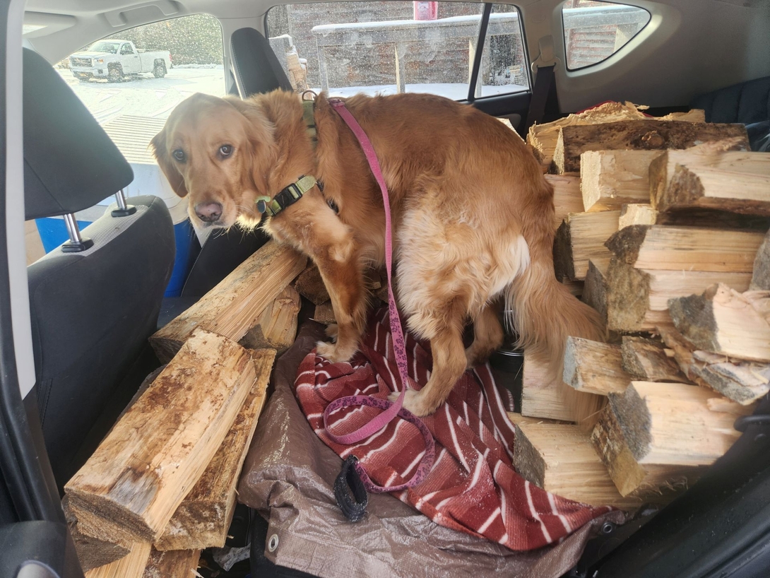 sunny with a few boxes of wood
