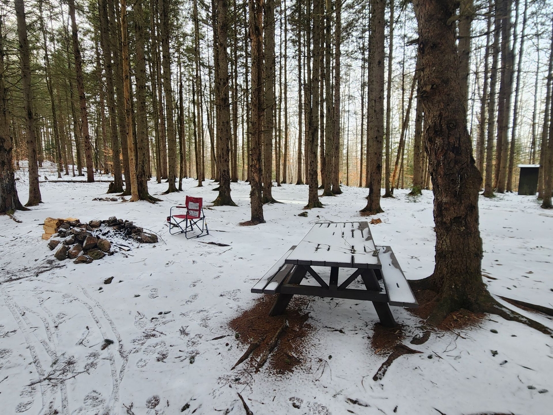 site 4