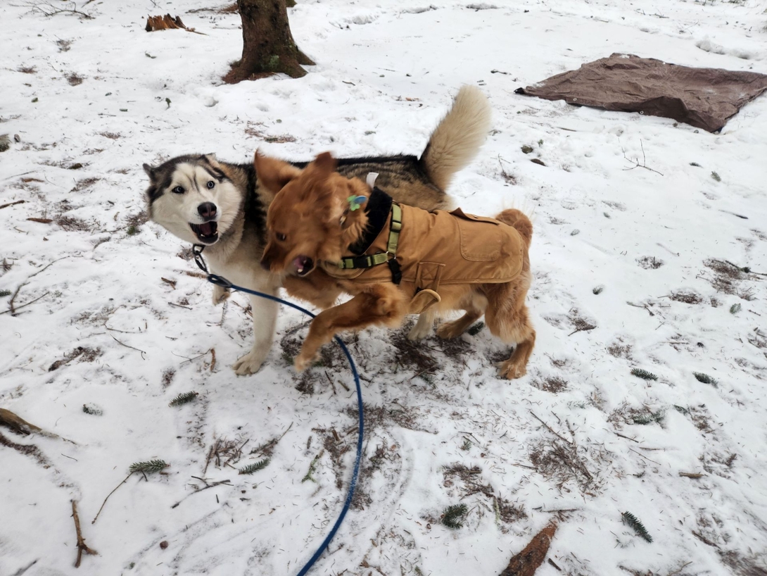 sunny and korra
