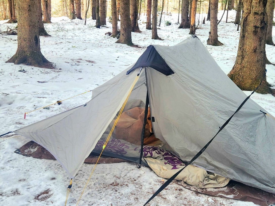 sunny retreating to the tent