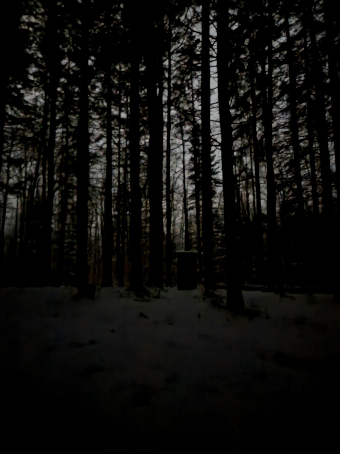 house potty in the dark