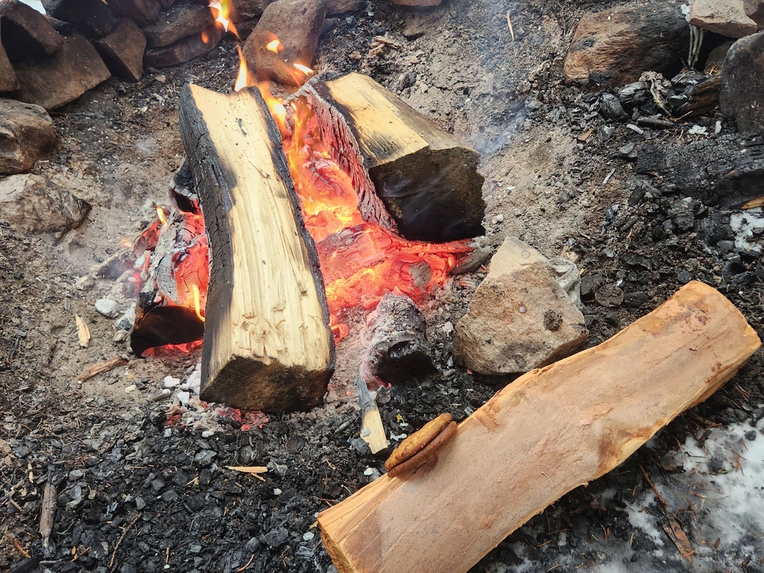 grilling on a log