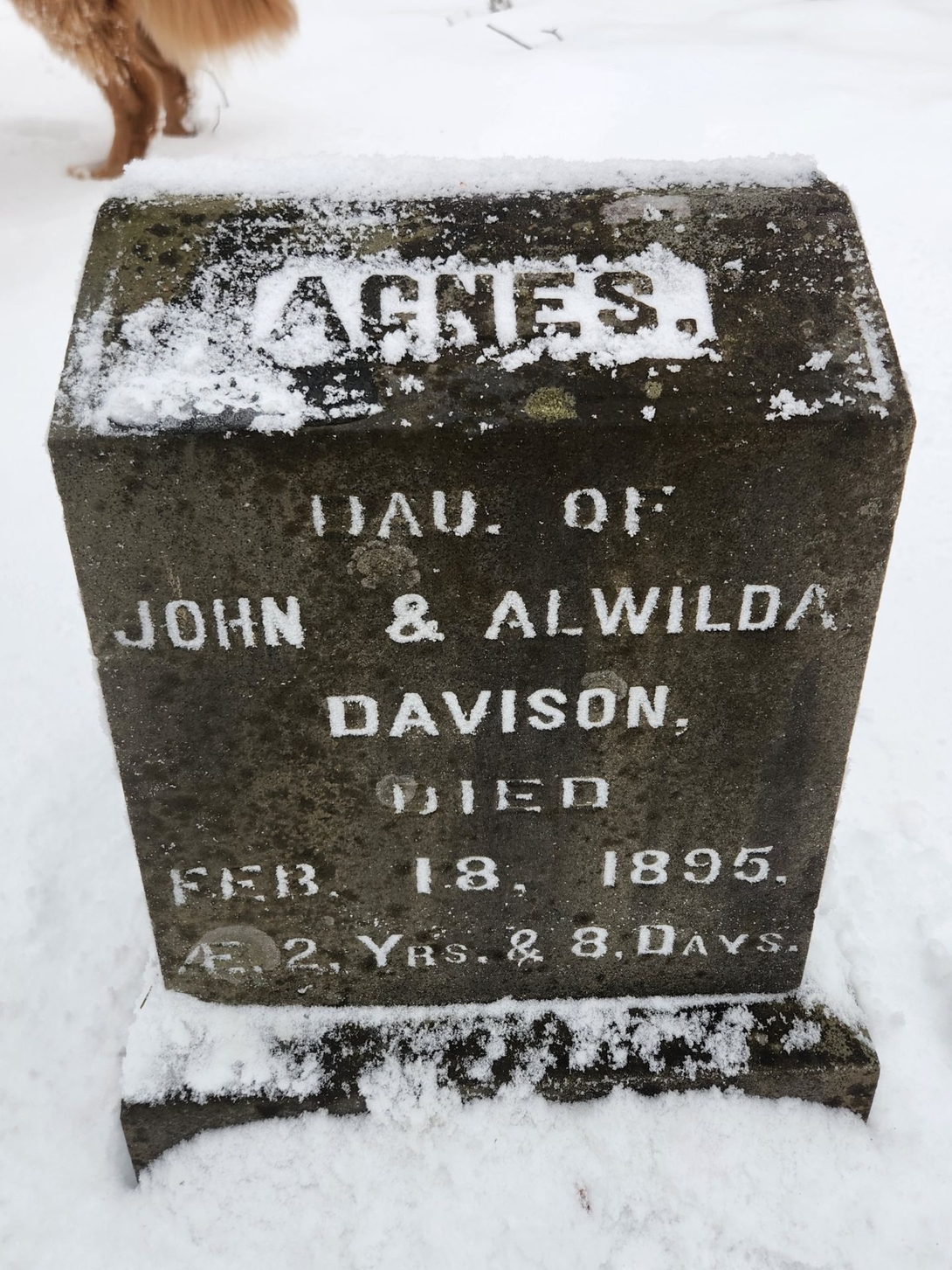 headstone