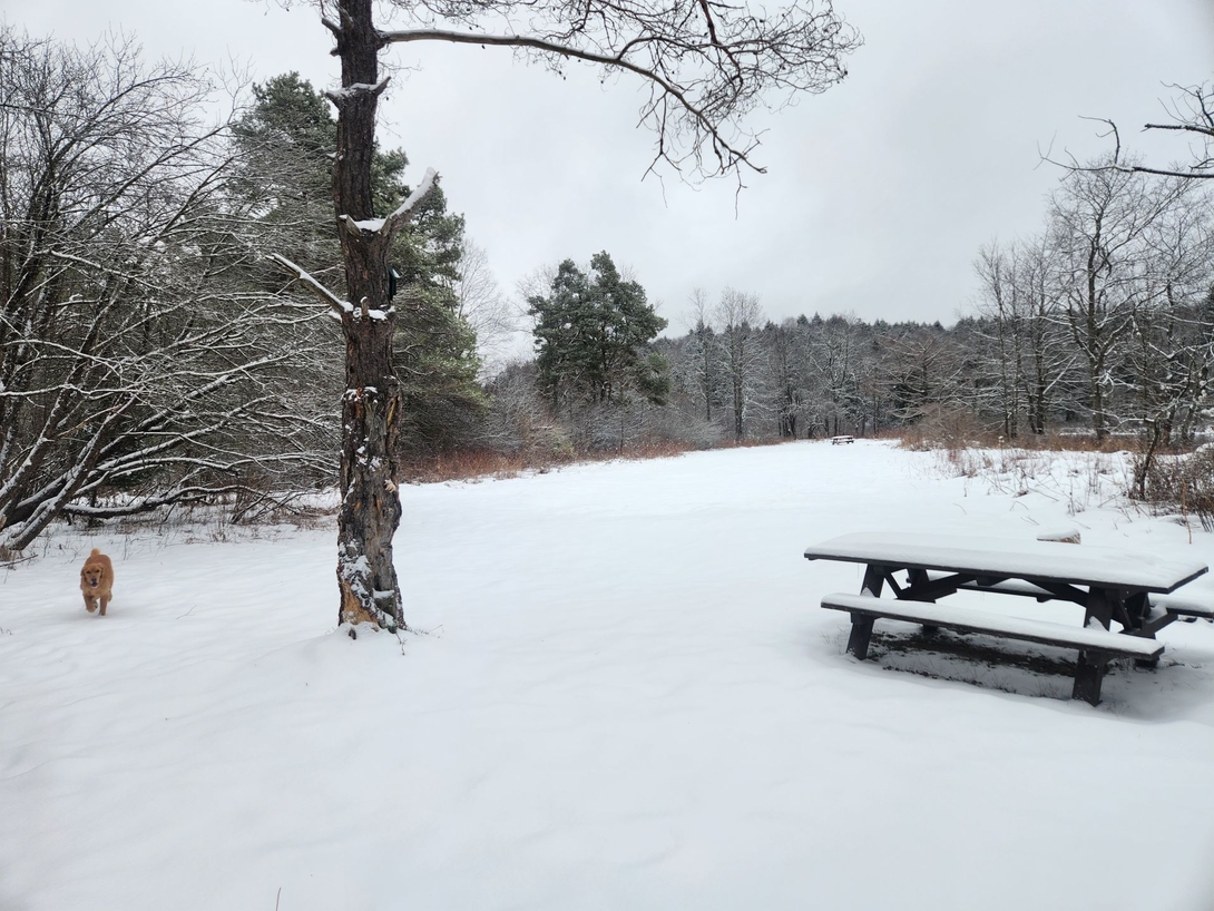 site
