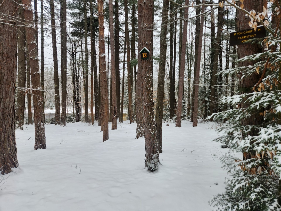site