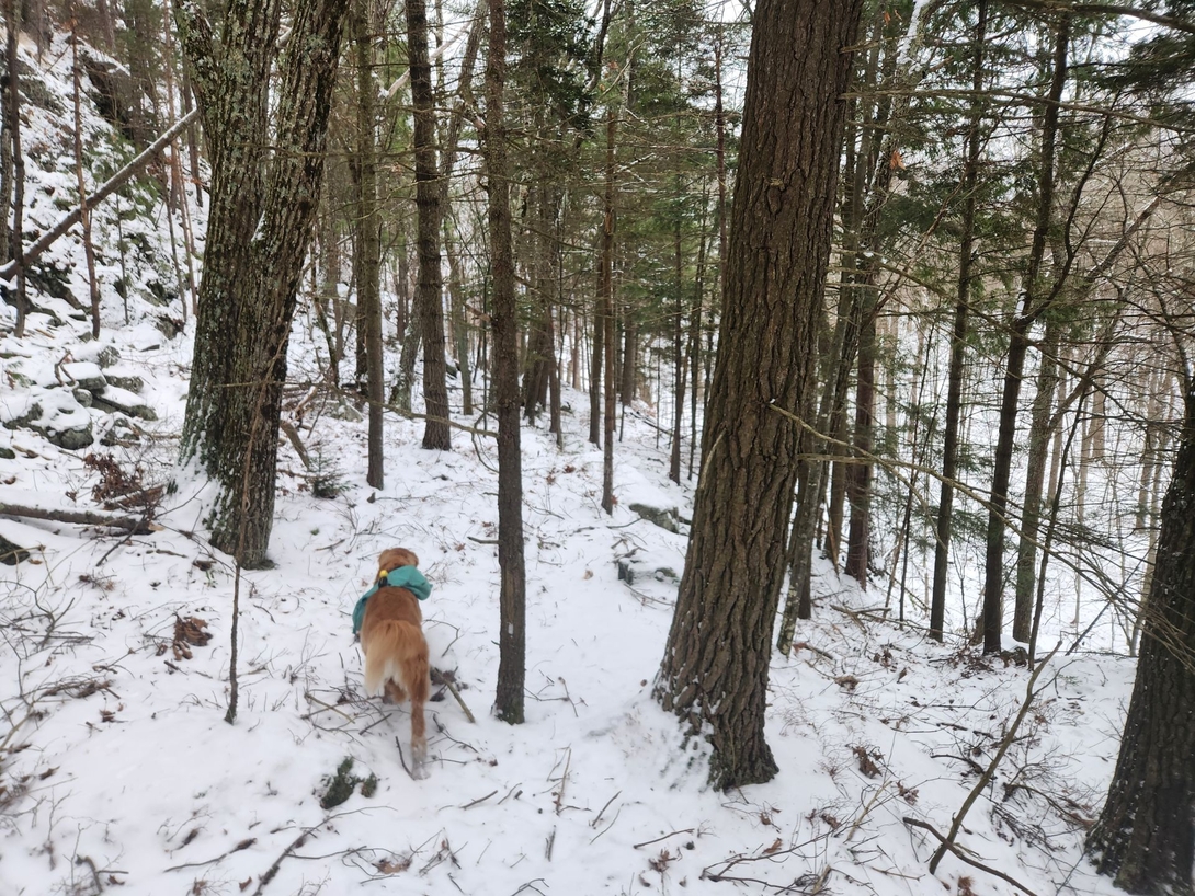 not a trail