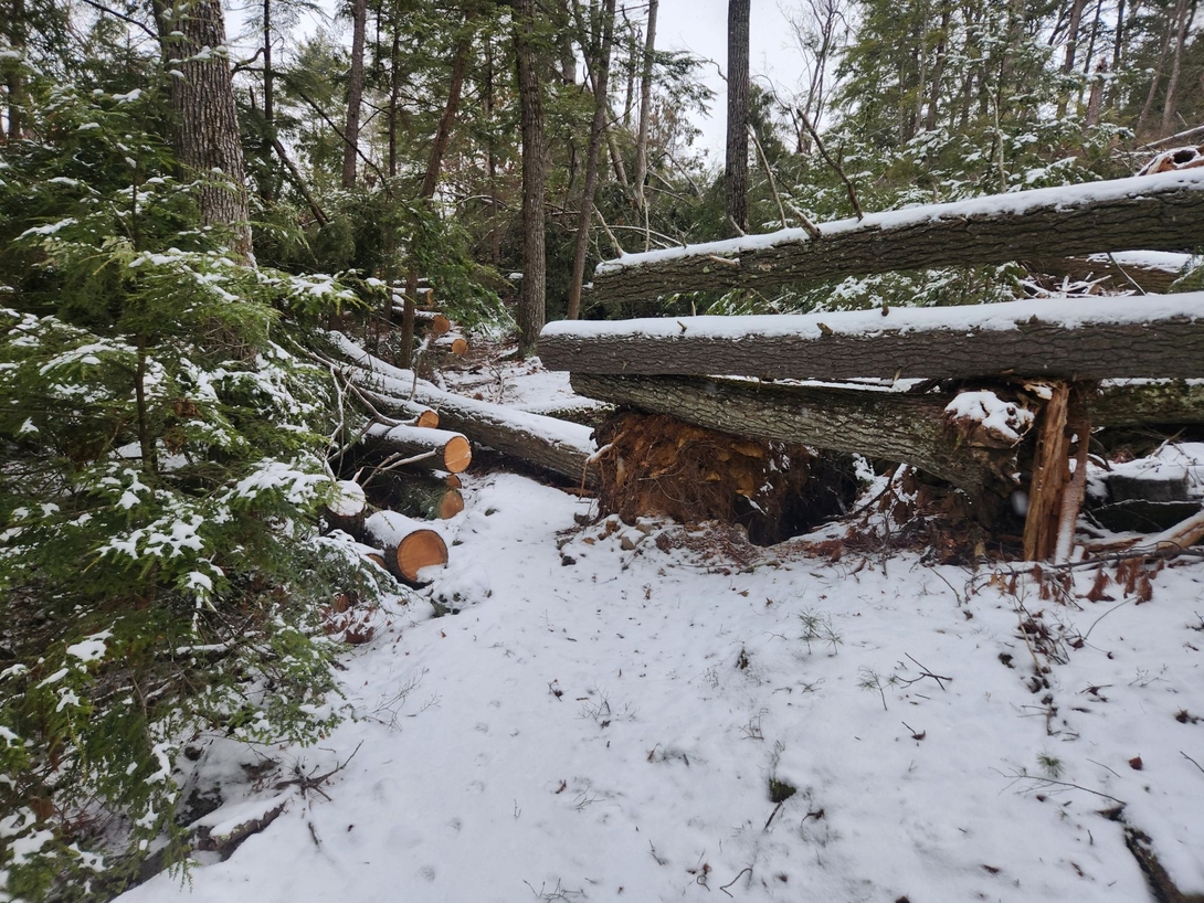 cleared blowdown