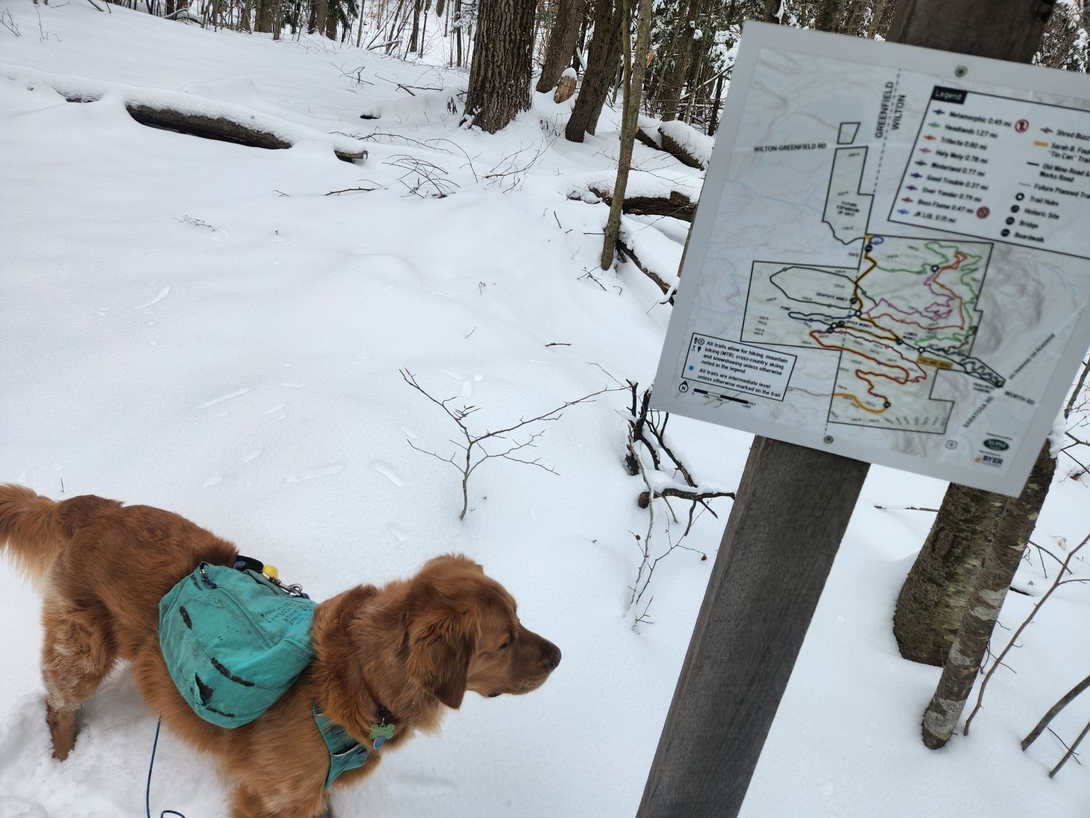 Signage