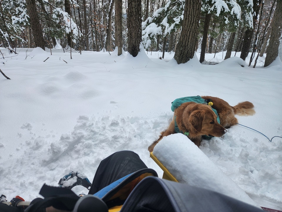sunny and me at the chair