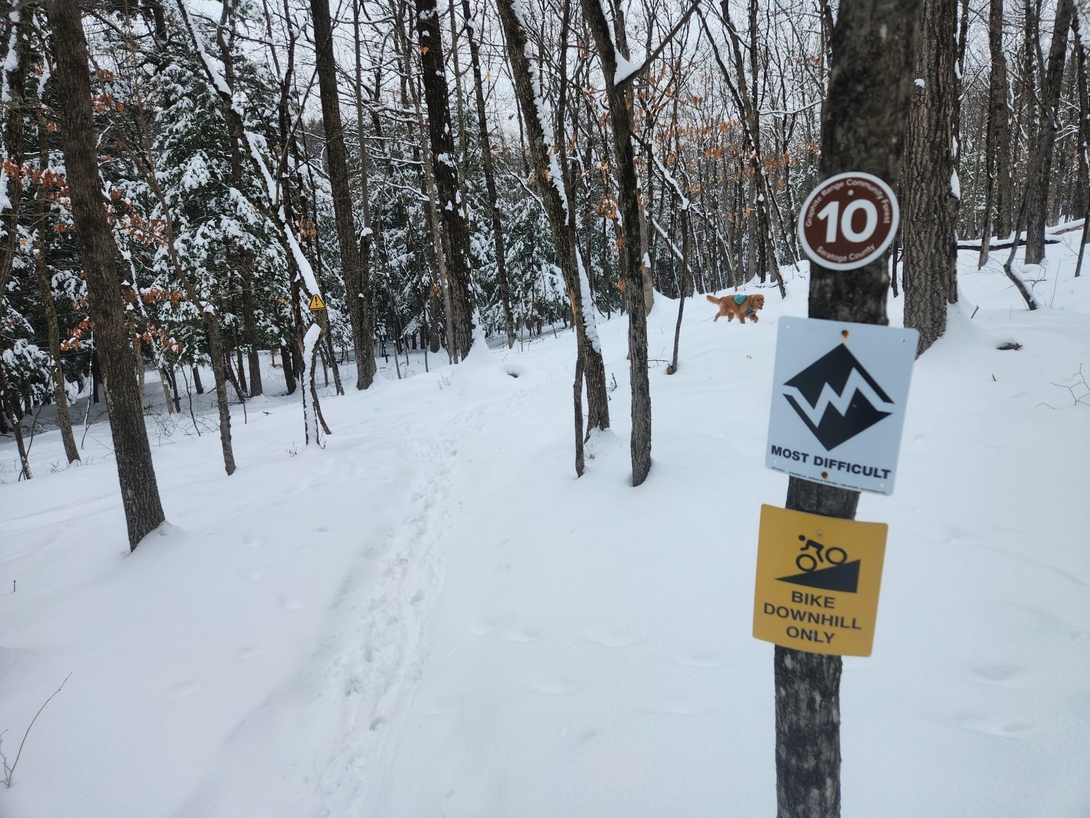 down the hill