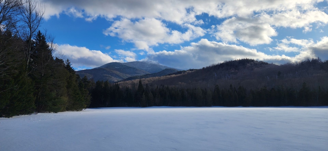 algonquin and a clearing sky