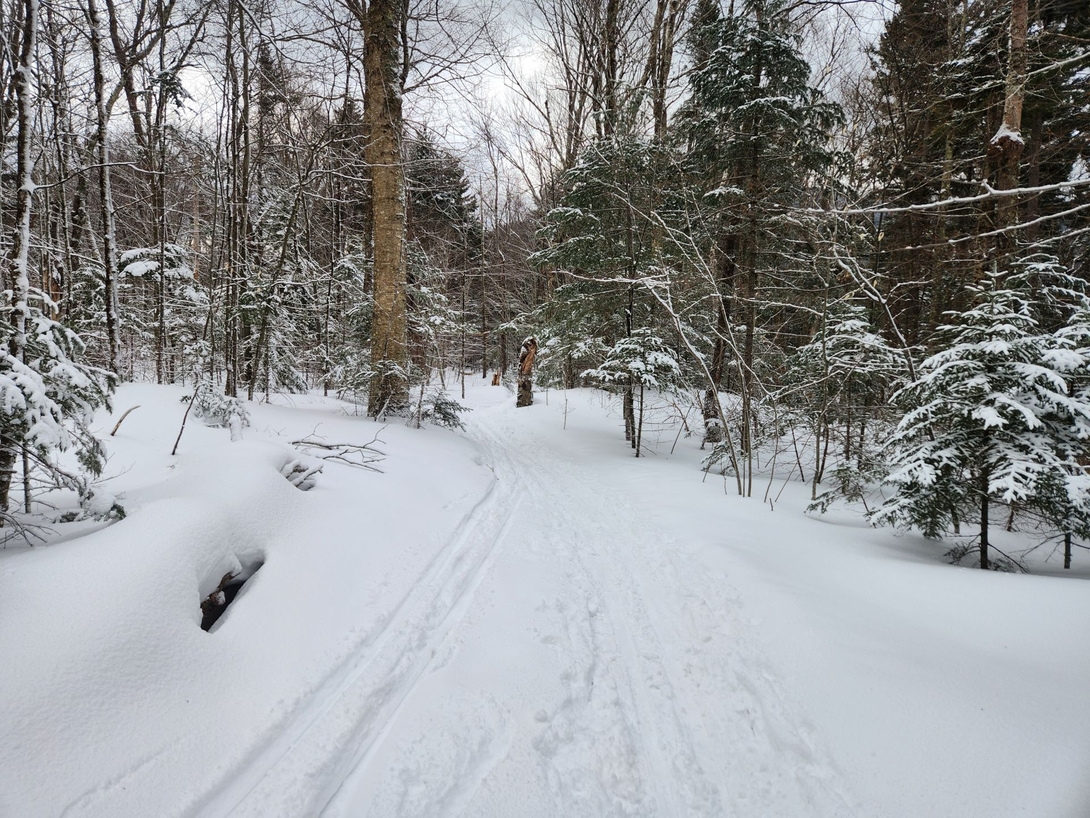 trail