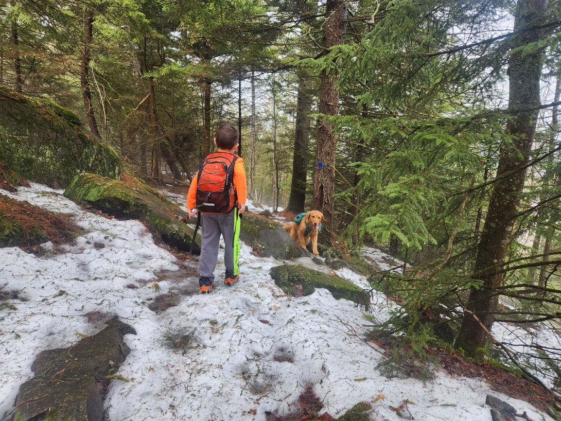 quinn and sunny in the pine tunnel