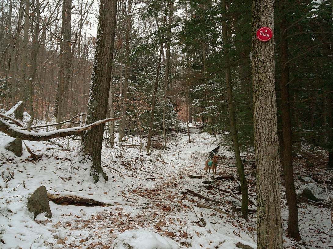 up the red trail