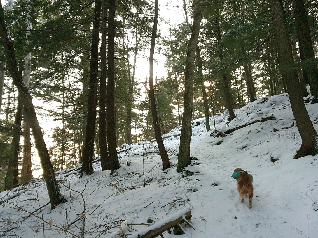 sunny finding the summit