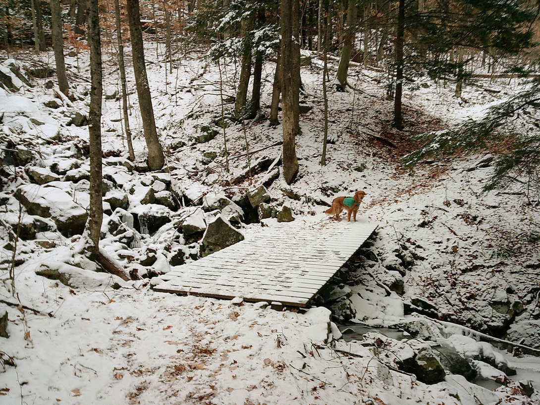 bridge