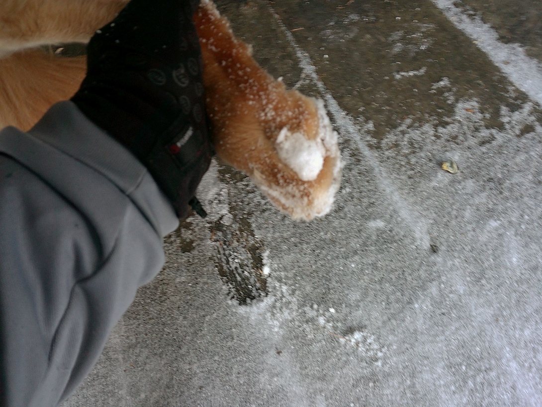 snowballs on the feet