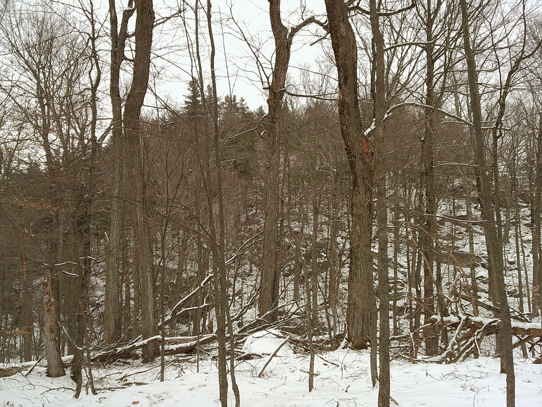 summit