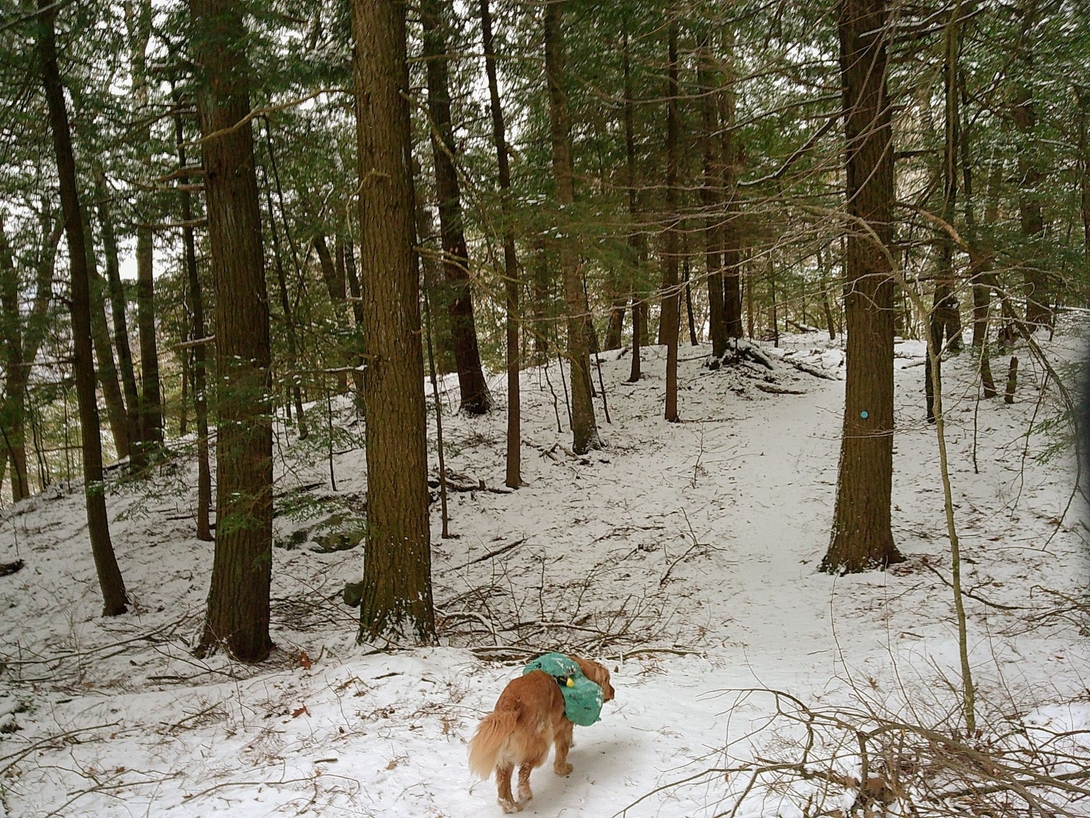 up the hill