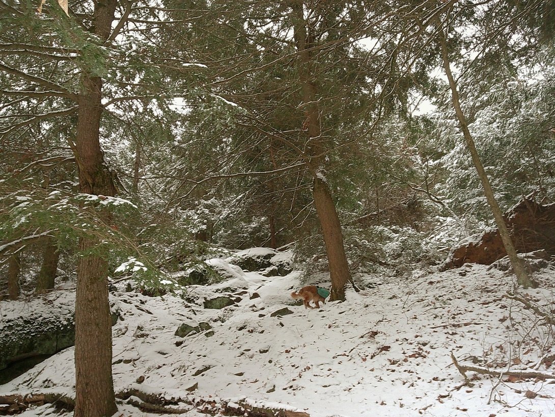 up the hill