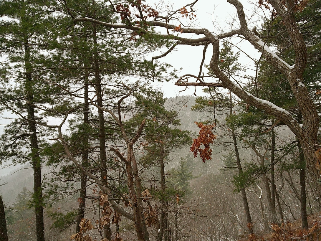 looking out to the next peak