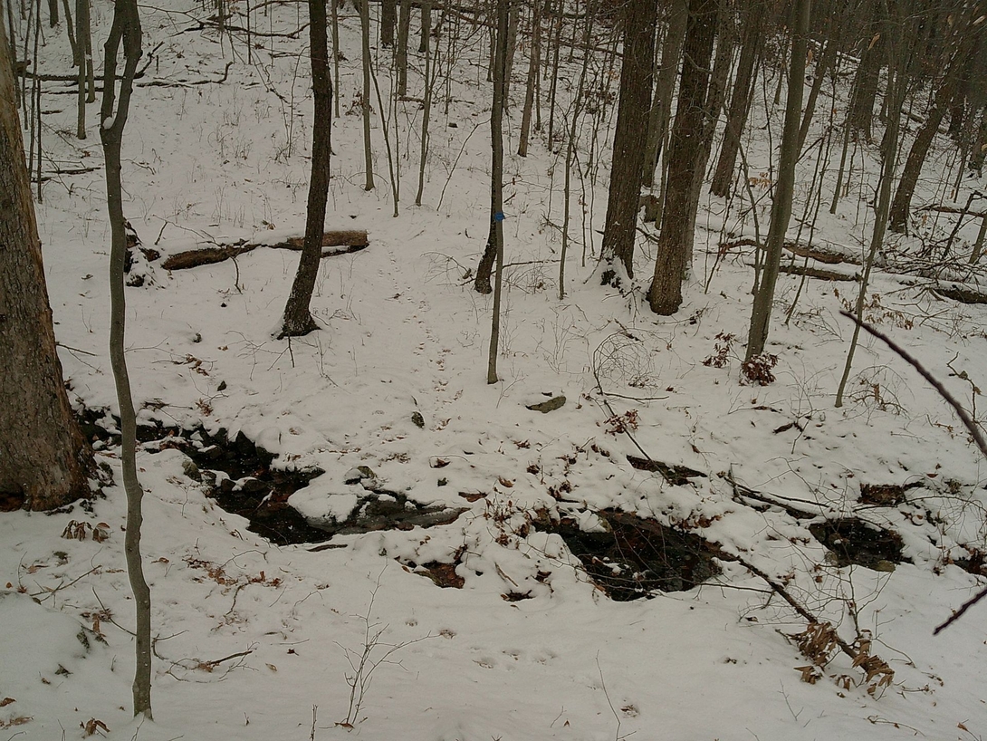 water source in a col between french point and first peak