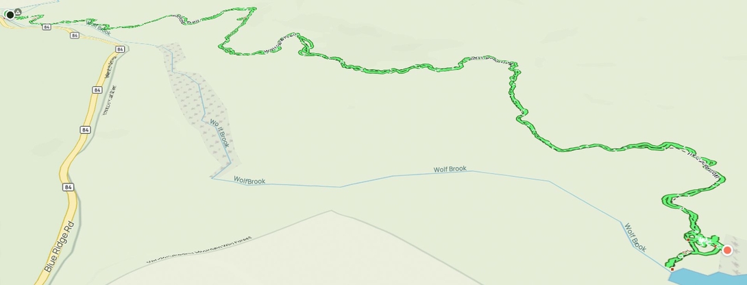 wolf pond trail