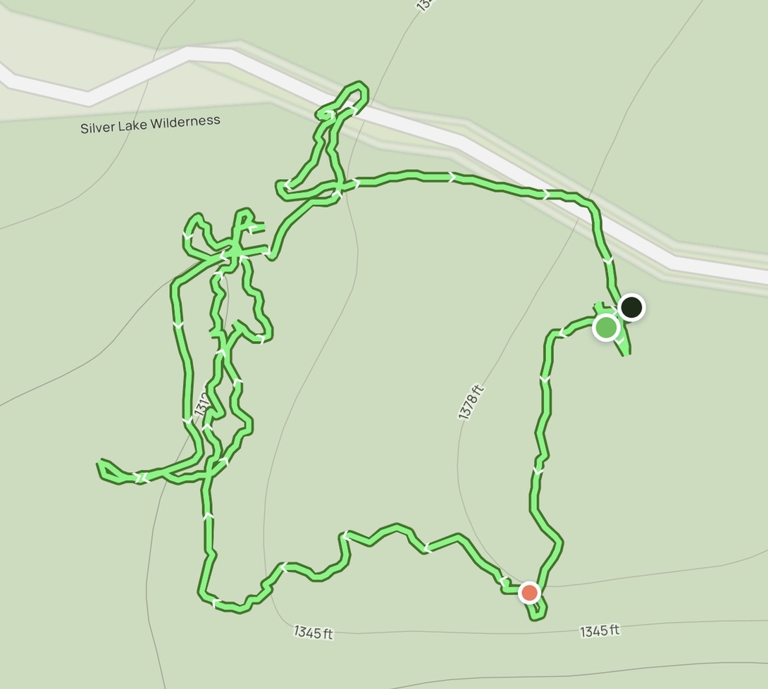 impromptu hike