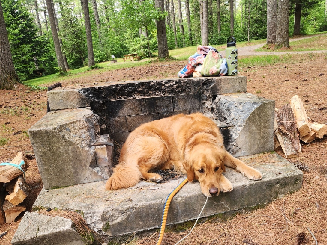 sunny in the fire pit