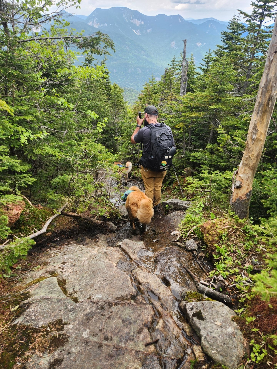 Nick and sunny descending