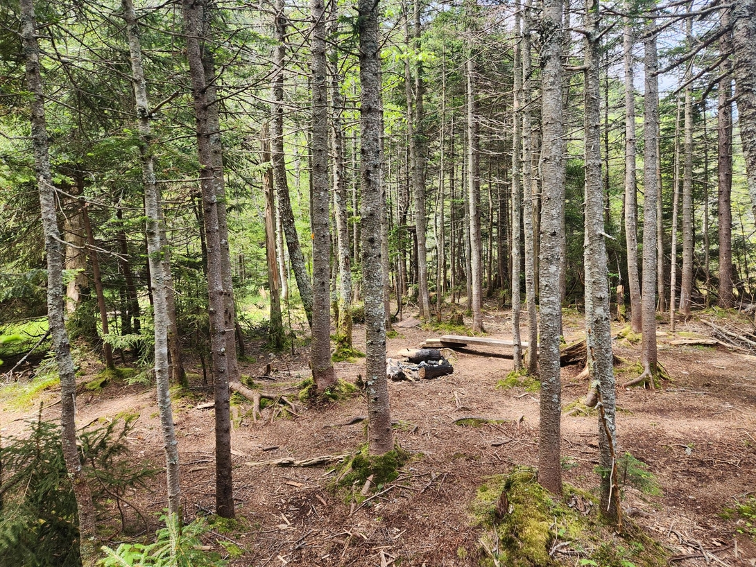 Elk  Pass campsites
