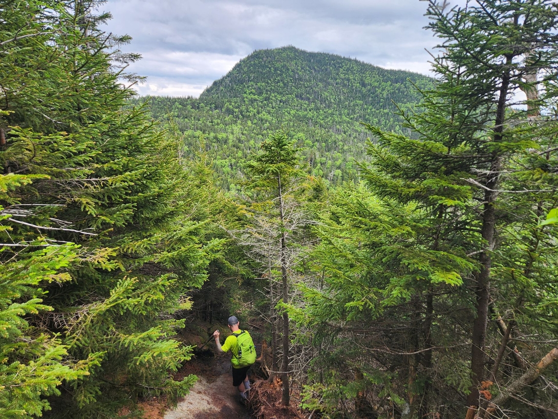descent of Colvin